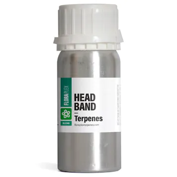 Photo of Headband Terpenes